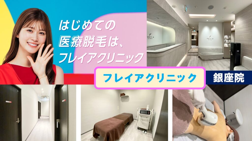 フレイアクリニック銀座院の表紙